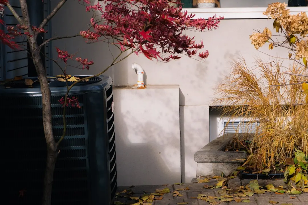 Standby generator maintenance in a Calgary home